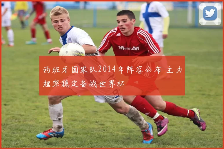 西班牙国家队2014年阵容公布 主力框架稳定备战世界杯