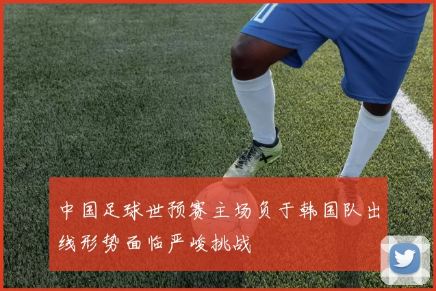 中国足球世预赛主场负于韩国队出线形势面临严峻挑战